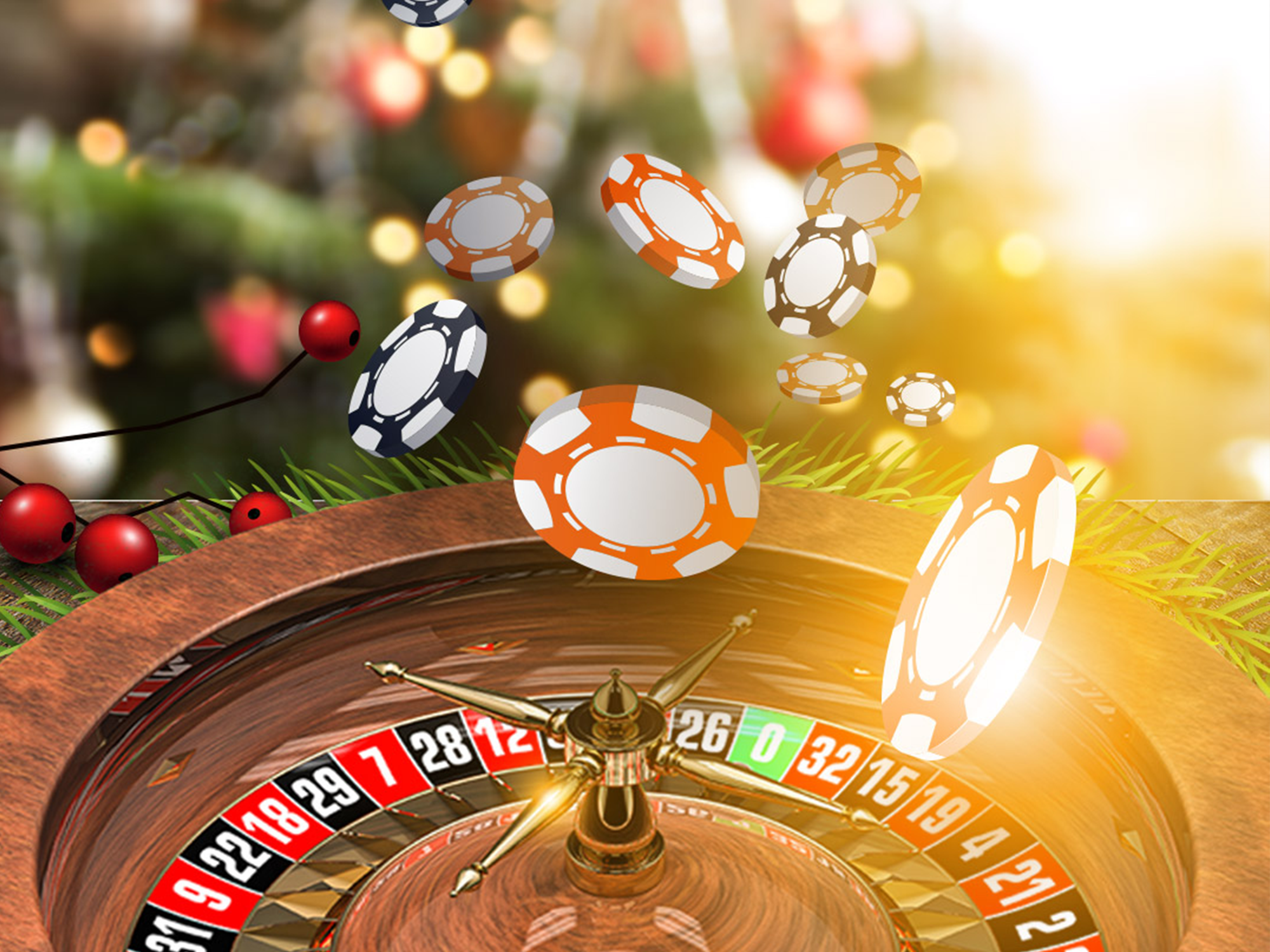 anthea van der meullen